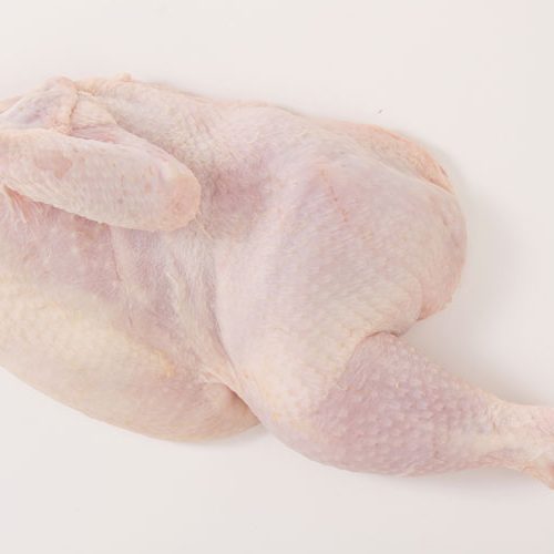 METADE FRANGO BIO