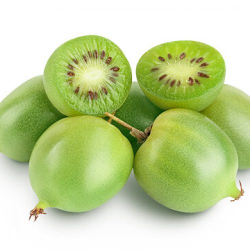 kiwi_baby_bio